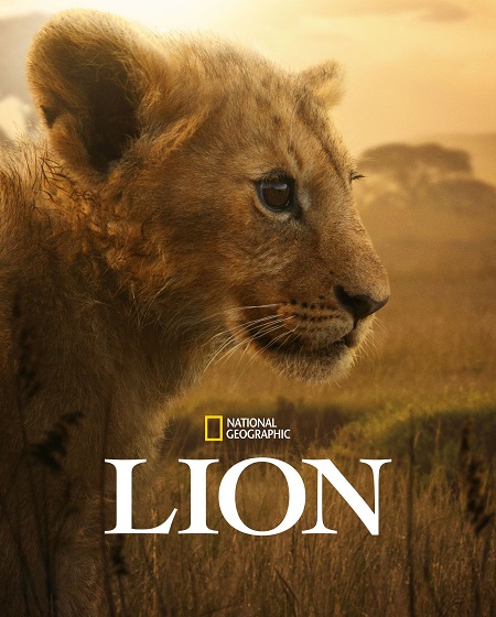 مسلسل Lion الحلقة 1 مترجمة