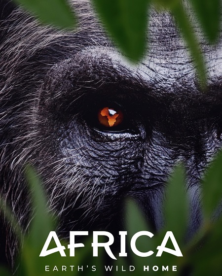 مسلسل Africa Earth’s Wild Home الحلقة 3 مترجمة